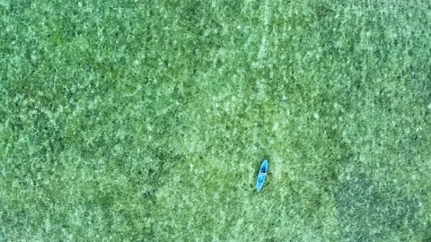 Aerial top down view of person kayaking in clear turquoise sea Video stock 336594103
