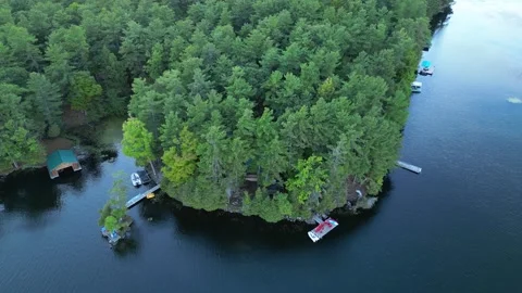 Aerial Top-Down View of a Pine-Covered Peninsula on a Lake Stock-Footage 338324518