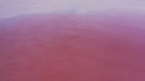 Aerial top down view pink water in salt lake Stock Footage 118741217