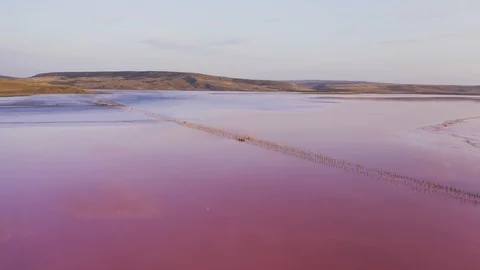 Aerial top down view pink water in salt Crimean lake like as Mars planet Stock Footage 118741233