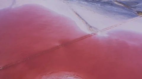 Aerial top down view pink water in salt Crimean lake. Stock Footage 118741357