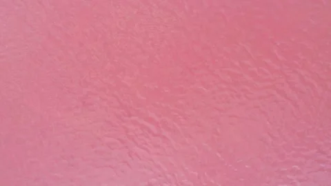 Aerial top down view of pink lake Bursol. Rippling surface of the lake. Salt Stock Footage 250455220