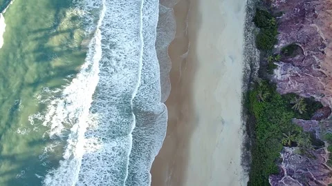 Aerial top-down view of Pipa Beach, Rio Grande do Norte, Brazil. Video stock 314401520