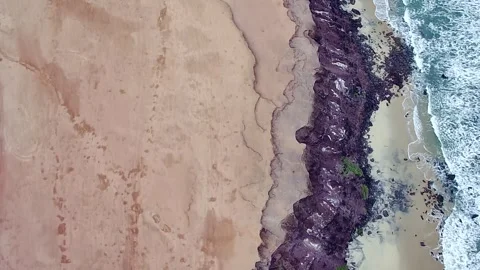 Aerial top-down view of Pipa Beach in Rio Grande do Norte, Brazil. Video stock 314466599