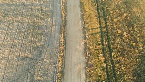 Aerial top-down view of the plowed field during sunset 스톡 동영상 108380373