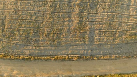 Aerial top-down view of the plowed field during sunset 스톡 동영상 108382581