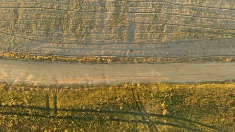 Aerial top-down view of the plowed field during sunset 스톡 동영상 108414930