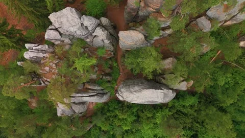 Aerial Top Down View of Prachov Rocks in Bohemian Paradise, Czech Republic Stock Footage 318343449