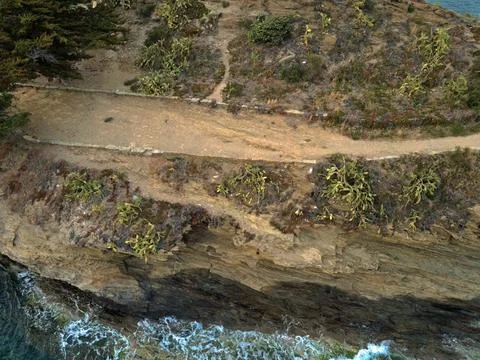 Aerial top down view of prickly pear cactus patch on Costa Brava in Cadaque.. Stock Photos