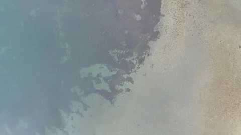 Aerial top down view of a pristine sandy beach coastline Stock Footage 342326654