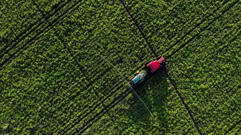 Aerial top down view process of spraying with chemicals and pesticides fields Video stock 224612535