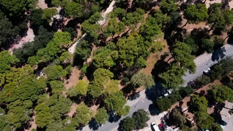 Aerial top down view of a public park in Figueres Catalonia Spain 스톡 동영상 245172822