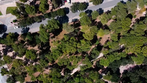 Aerial top down view of a public park in Figueres Catalonia Vídeos de archivo 245173119