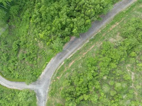 Aerial top down view of a quiet winding road passing through lush tropical .. 스톡 사진