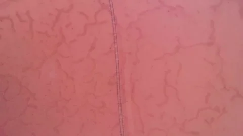 Aerial top down view of a railway in salt lake Bursol. Salt mining at pink lake Stock-Footage 250452694