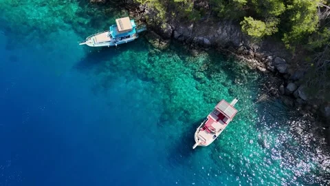 Aerial Top Down View of a Red Roofed Tour Boat with Swimmers Stock Footage 317202997