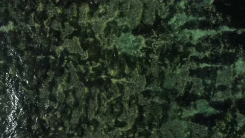 Aerial top down view on reef beach Stock Footage 154850519