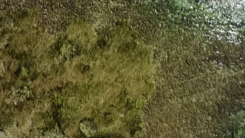 Aerial top down view on reef beach Stock Footage 155032554