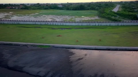 Aerial Top Down View of Rice Fields Patchwork and Farmer Hut Stock-Footage 335944604