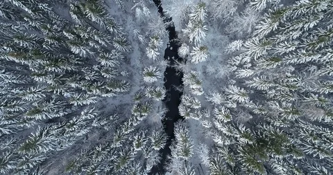 Aerial top down view of a river and beautiful snowy forest at winter. Stock Footage 114294450
