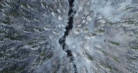 Aerial top down view of a river and beautiful snowy forest Stock Footage 114294761