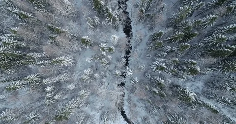 Aerial top down view of a river and beautiful snowy forest Stock Footage 114294780