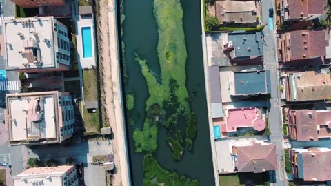 Aerial top down view of river filled with algae bloom in Palamos Catalonia Stock-Footage 245997276