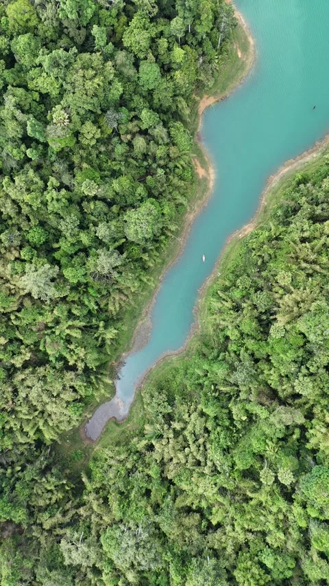 Aerial Top Down View of River in Green Tropical Rainforest in Khao Sok, Thailand Stock Footage 335964542