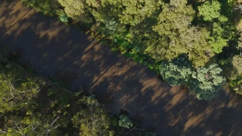 Aerial top-down view of a river meandering through a dense green forest Stockbeeldmateriaal 336362645
