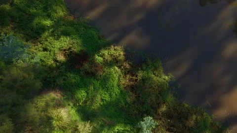 Aerial top down view of river bank and trees casting shadows 動画素材 336363109