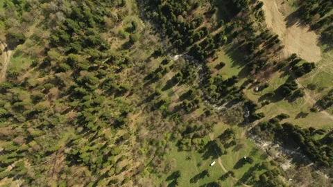 Aerial top-down view of a river and forest in Arkhyz, Caucasus Stock Footage 338008627