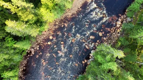 Aerial Top-Down View of River Halgn at Brattfallet Nature Reserve, Sweden Stock Footage 340921820