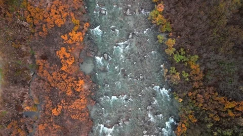 Aerial top down view of river flowing in autumn forest in Alaska Video stock 340952943