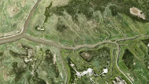 Aerial top down view of river deltas and salt marshes Stock-Footage 343834298