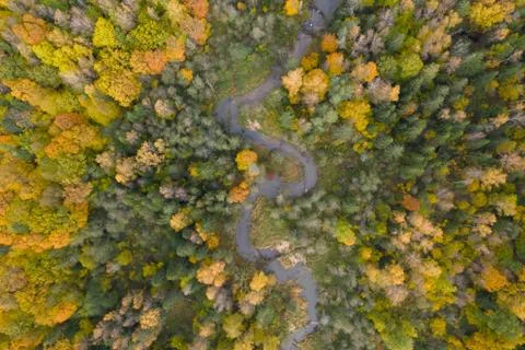 Aerial top down view of river flowing through green yellow autumn forest Stock Photos