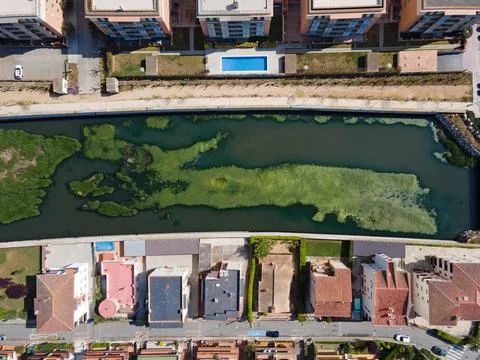 Aerial top down view of river filled with algae bloom in Palamos Catalonia Stock Photos