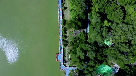 Aerial-top-down-view-of-riverbank-and-green-trees Stock Footage 344780812