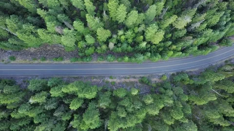 Aerial top-down view of road going through a forest in the middle of nowhere. Видео 149339549