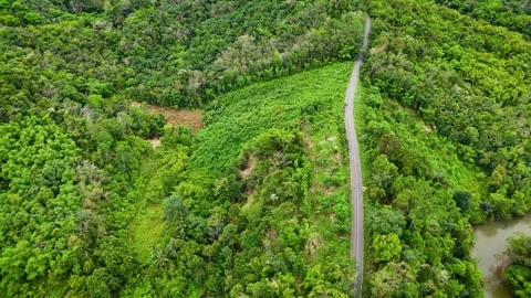 Aerial Top Down View of Road and River Alongside Tropical Rainforest Stock Footage 336486326