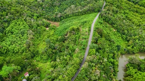 Aerial Top Down View of Road and River Alongside Tropical Rainforest Stock-Footage 336486391