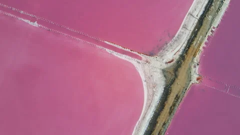 Aerial top down view of a road dividing pink salt lake. Vídeos de archivo 337001374