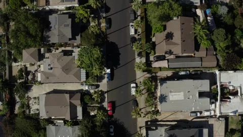 Aerial Top Down View of Road With Long Palm Tree Shadows Stock Footage 346656322
