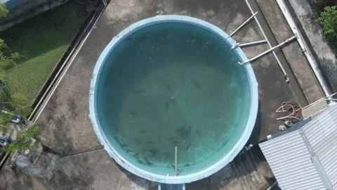 Aerial top down view of round aquaculture tank with fish in commercial farm Stock Footage 344580968