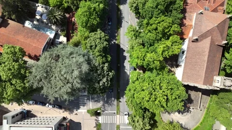 Aerial Top-Down View of a Roundabout Junction in Coimbra, Portugal Stock-Footage 345840354