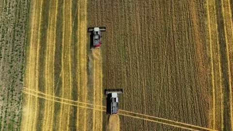Aerial top-down view of a row of combine harvesters working to collect wheat Stock Footage 304562826