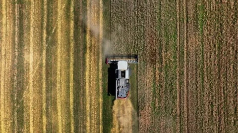 Aerial top-down view of a row of combine harvesters working to collect wheat Stock Footage 304562871