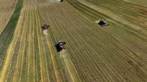 Aerial top-down view of a row of combine harvesters working to collect wheat Stock Footage 304562924