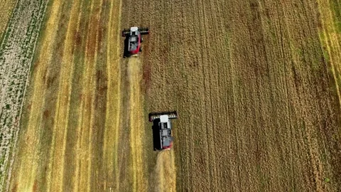 Aerial top-down view of a row of combine harvesters working to collect wheat Stock Footage 304562956