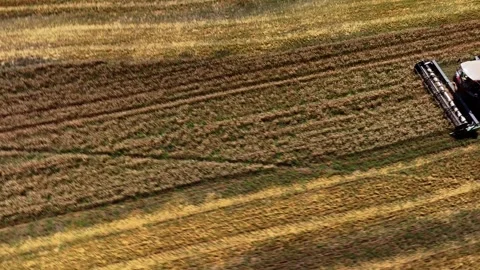 Aerial top-down view of a row of combine harvesters working to collect wheat Stock Footage 304580033