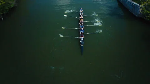 Aerial top down view of a rowing team training on a river Stock Footage 331686385